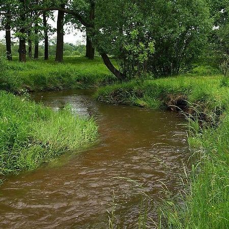 Karpnicka Struga W Dolinie Palacow I Ogrodow Еленя-Гура Экстерьер фото