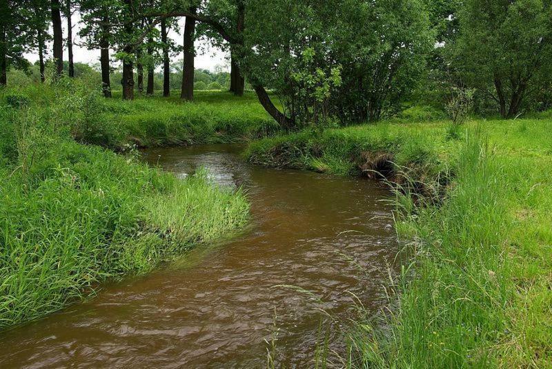 Karpnicka Struga W Dolinie Palacow I Ogrodow Еленя-Гура Экстерьер фото